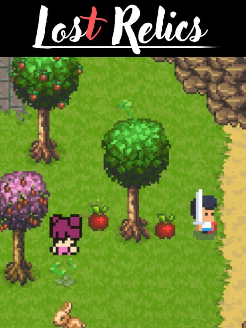 Lost Relics — co-op game artwork
