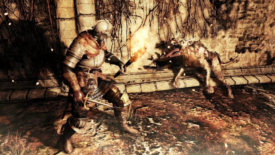 Dark Souls II — screenshot 3