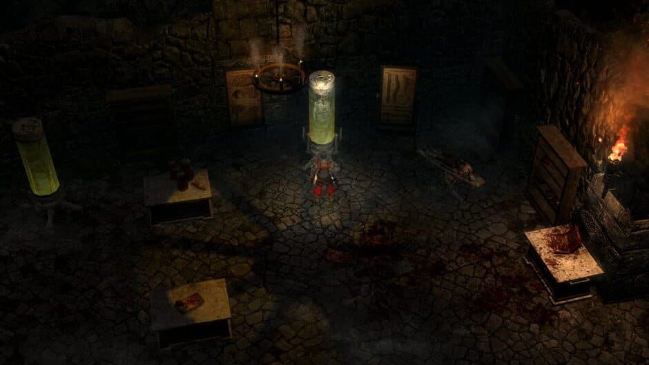 Grim Dawn — screenshot 2