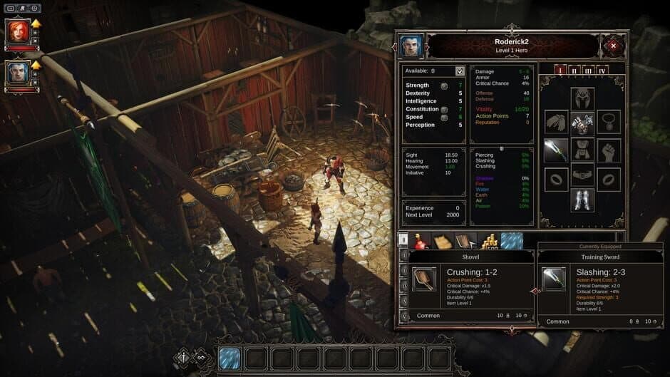 Divinity: Original Sin — screenshot 2