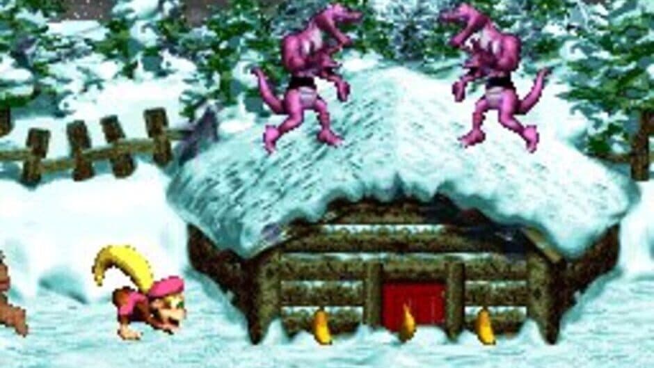 Donkey Kong Country 3: Dixie Kong's Double Trouble — screenshot 4
