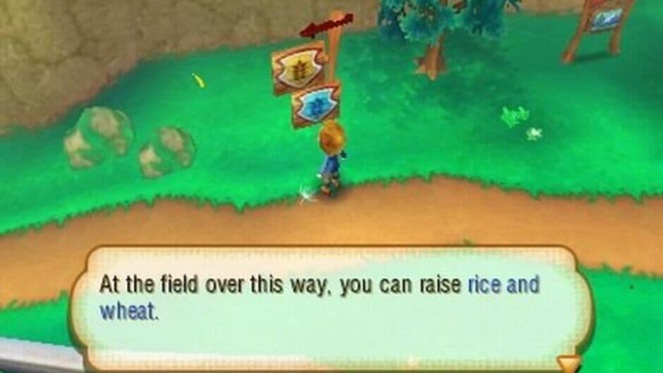 Story of Seasons — screenshot 2