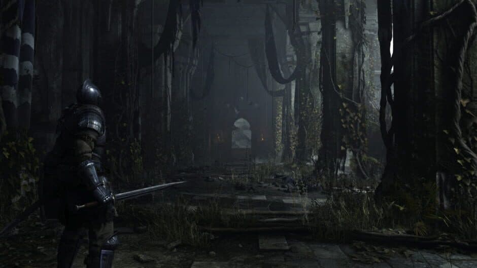 Demon's Souls — screenshot 1