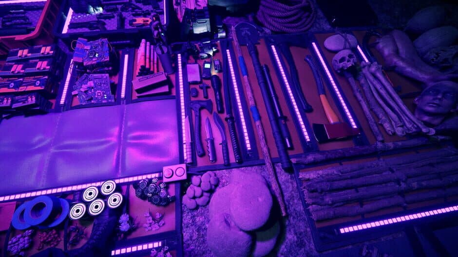 Sons of the Forest — screenshot 1