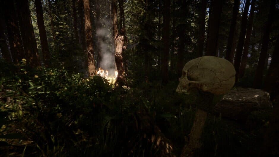 Sons of the Forest — screenshot 2