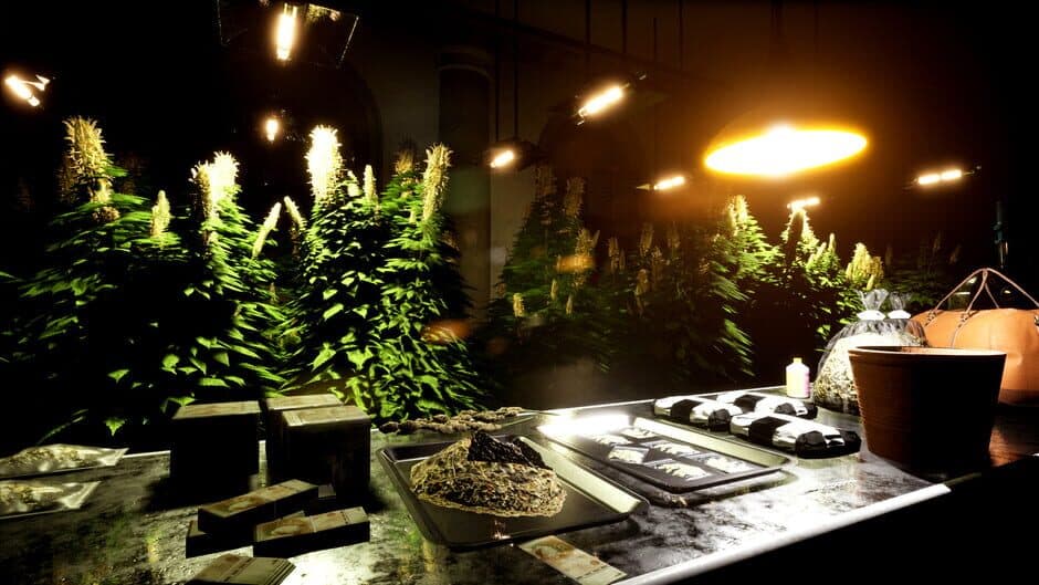 Drug Dealer Simulator 2 — screenshot 3