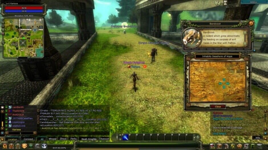 Knight Online — screenshot 3