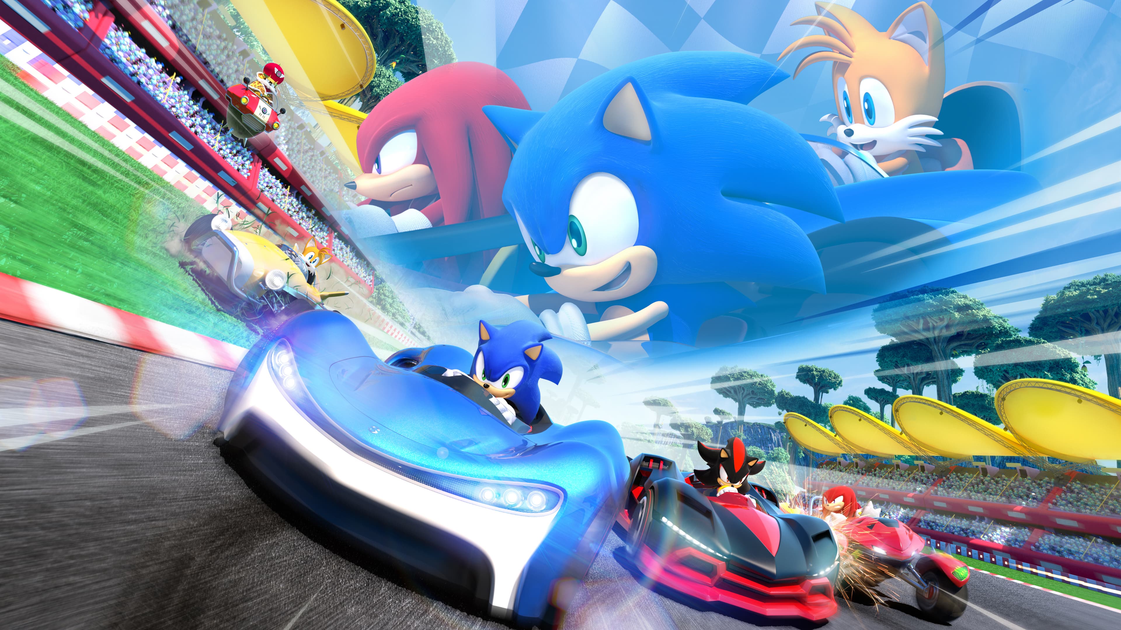 Team Sonic Racing — verified co-op game artwork