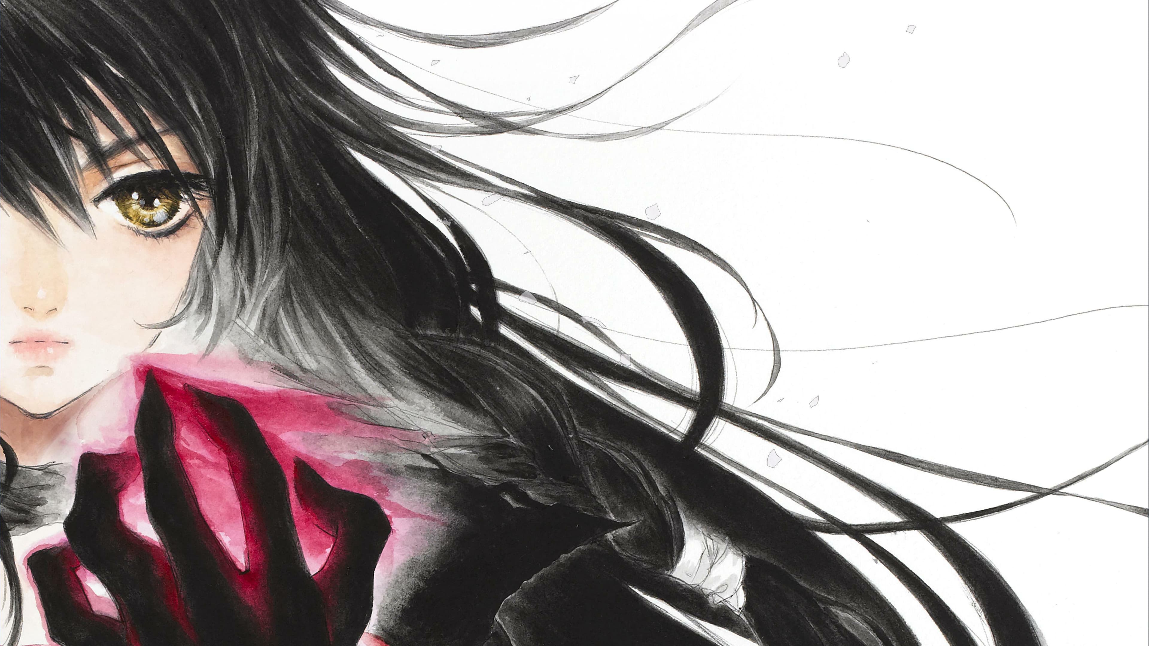 Tales of Berseria — verified co-op game artwork