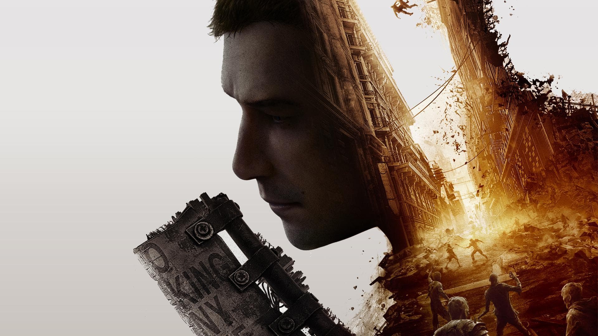 Dying Light 2 Stay Human — verified co-op game artwork