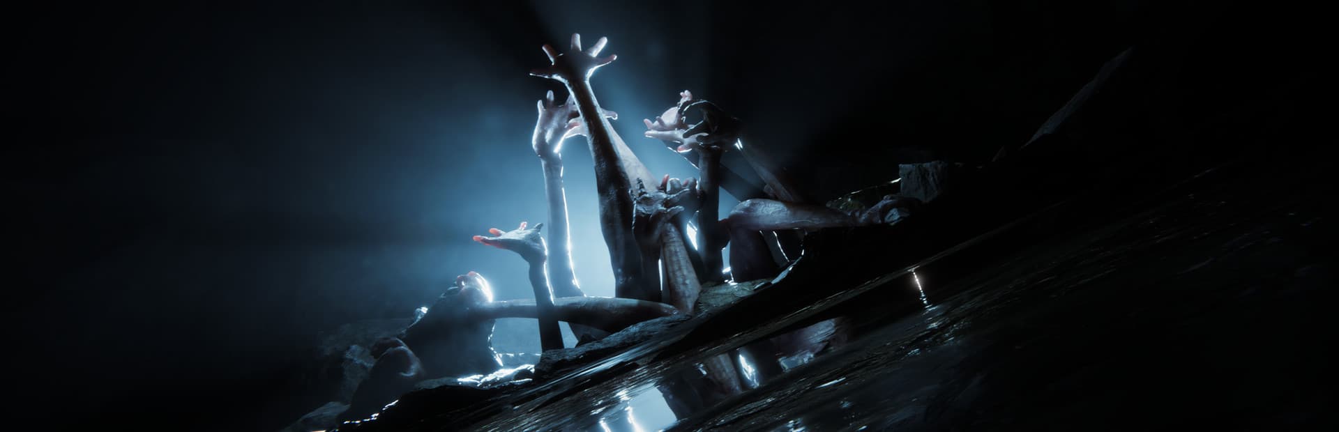 Sons of the Forest — verified co-op game artwork